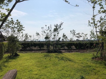 大澤邸 植栽工事_190624_0005