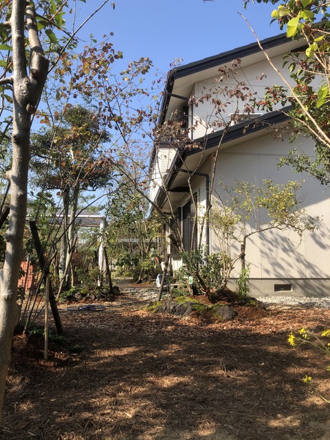 2019-11-09 10.42.33_R