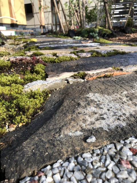 2019-12-14 14.26.46_R