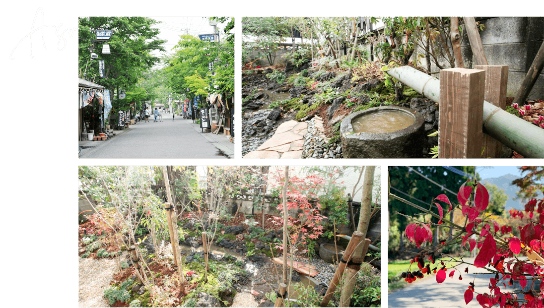 あその紅葉イメージ